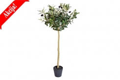 035 veštačka stabla masline